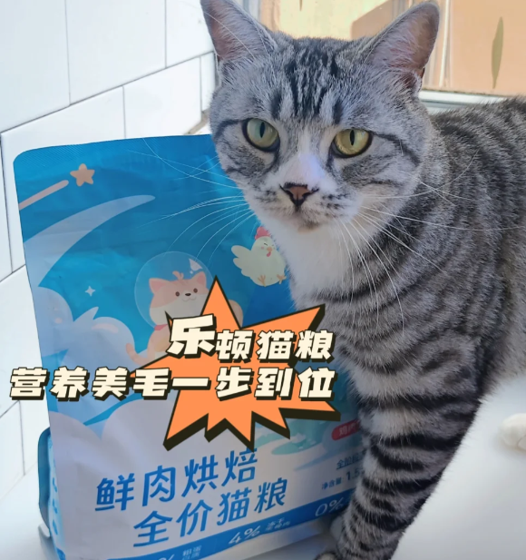 猫粮哪个性价比高？乐顿猫粮以低喂养成本支撑高营养需求