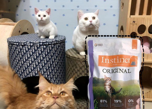 进口猫粮推荐排行榜的深海王者：渴望六种鱼全价猫粮