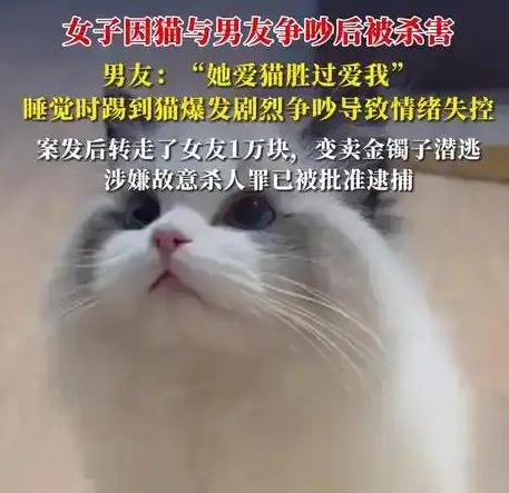 女子因猫与男友争吵后被害,悲剧因爱宠引发 女子因猫与男友争吵后被害,悲剧因爱宠引发