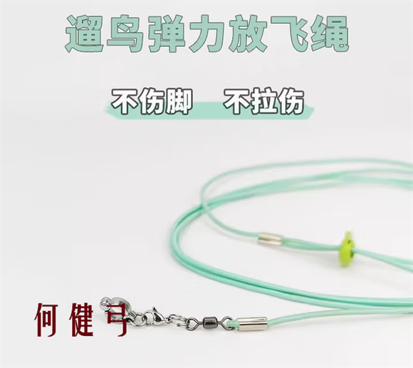 何健弓鹦鹉牵引绳会不会伤害鸟