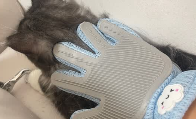 COODORA撸猫手套:轻松除毛,让撸猫更享受 COODORA撸猫手套:轻松除毛,让撸猫更享受