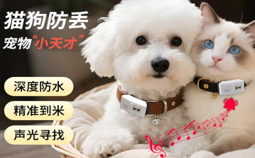 宠悦悦
