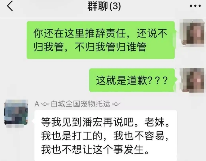 潘宏再陷风波:宠物狗在其指定的托运公司死亡 潘宏再陷风波:宠物狗在其指定的托运公司死亡