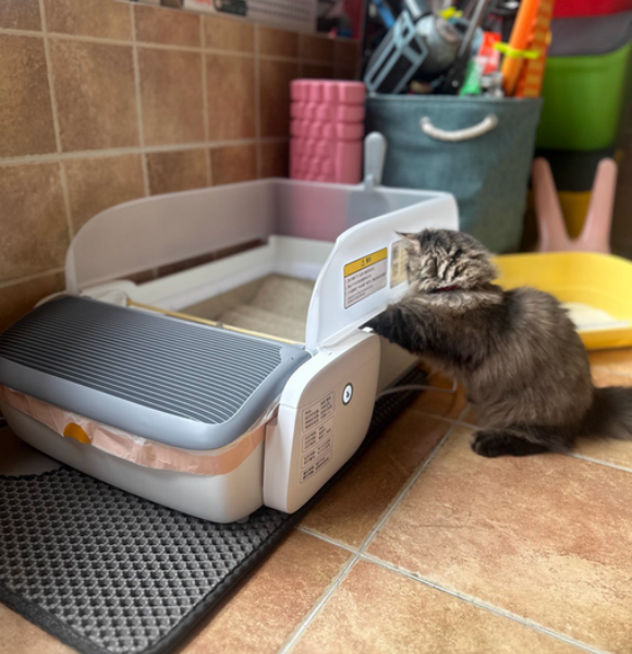 什么样的猫砂盆好?MAGICSCOOP魔铲更大、更爽、更净一步 什么样的猫砂盆好?MAGICSCOOP魔铲更大、更爽、更净一步