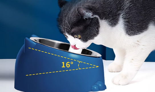 COODORA不锈钢猫碗：安全耐用，守护猫咪健康饮食