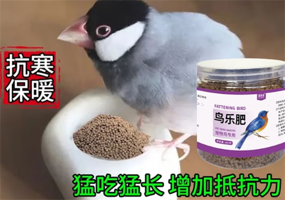 给爱鸟均衡滋养,哆派淘鸟乐肥助力健康成长 给爱鸟均衡滋养,哆派淘鸟乐肥助力健康成长