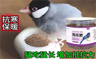 给爱鸟均衡滋养，哆派淘鸟乐肥助力健康成长​