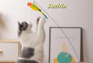 Suziria非食品线,用设计思维重新定义宠物生活美学 Suziria非食品线,用设计思维重新定义宠物生活美学