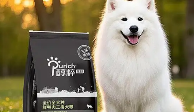 醇粹狗粮,营养丰富更健康! 醇粹狗粮,营养丰富更健康!