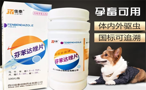 佳泰