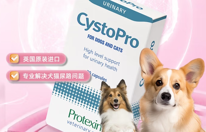 protexin利尿通效果怎么样 protexin利尿通效果怎么样
