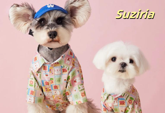 Suziria以科学之名,重塑宠物健康生活新标杆 Suziria以科学之名,重塑宠物健康生活新标杆