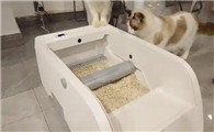猫会用猫砂但是乱拉屎怎么回事