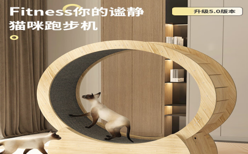 咖咪龙