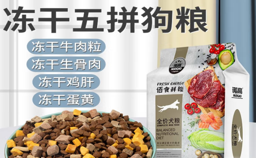 诺高