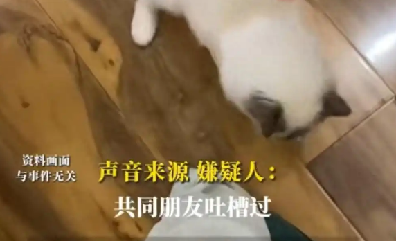 女子因猫与男友争吵后被害,悲剧因爱宠引发 女子因猫与男友争吵后被害,悲剧因爱宠引发