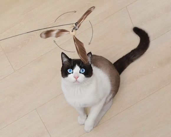 逗猫玩具怎么样?福丸这几款让主子“疯魔”的逗猫棒,耐咬又解闷! 逗猫玩具怎么样?福丸这几款让主子“疯魔”的逗猫棒,耐咬又解闷!
