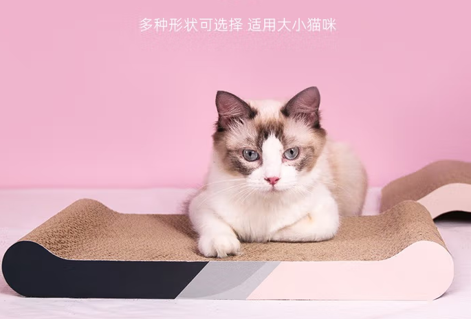 熹宠猫抓板有必要买吗
