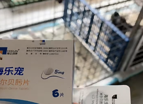 宠物驱虫效果怎么挑?海乐宠驱虫药的真实效果大揭秘 宠物驱虫效果怎么挑?海乐宠驱虫药的真实效果大揭秘