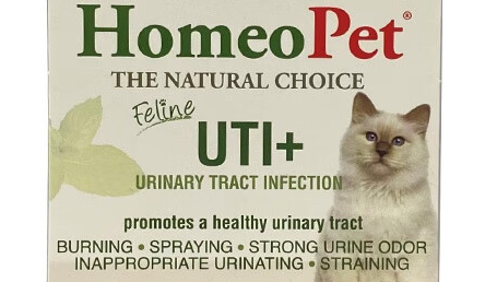 猫咪尿路感染？HomeoPet轻松应对