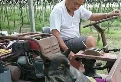 老人爱狗如命,子女这个举动引来父亲的愤怒,最后结局却感动网友 老人爱狗如命,子女这个举动引来父亲的愤怒,最后结局却感动网友