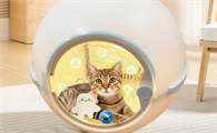 猫咪洗澡后难吹干？宝宠派全自动猫咪烘干箱机来解忧