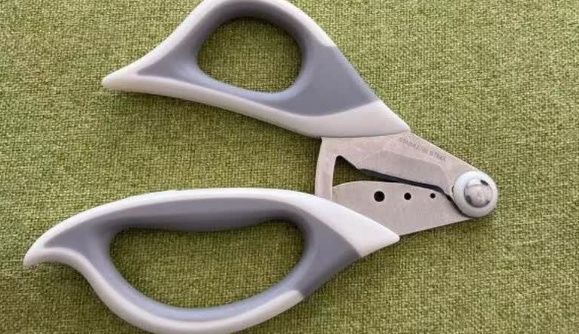 宠情猫咪指甲剪怎么样 宠情猫咪指甲剪怎么样