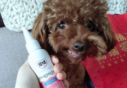 宠情滴耳液怎么用 宠情滴耳液怎么用