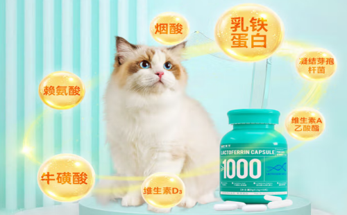 它天下