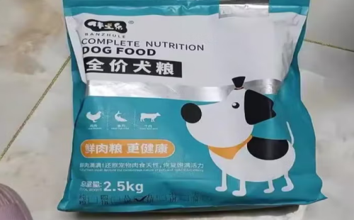 伴主乐