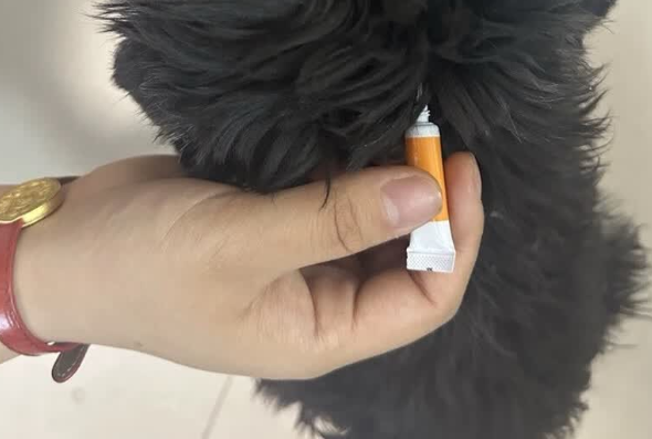 宠物驱虫药是否可靠?一文读懂,恩圣克的正规性与可信度 宠物驱虫药是否可靠?一文读懂,恩圣克的正规性与可信度