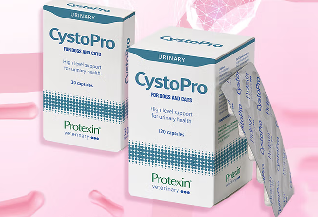 protexin宠物补充剂怎么吃
