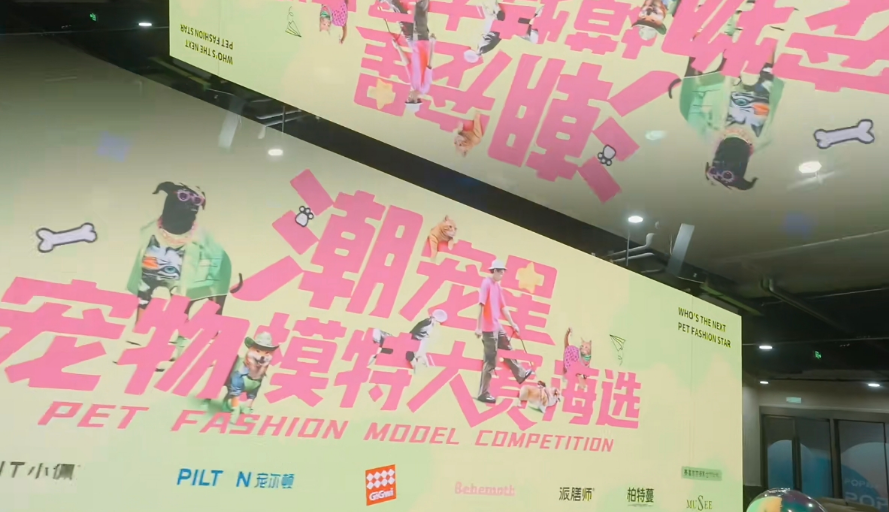 宠物模特如何选?潮宠星宠物模特大赛给你一个平台! 宠物模特如何选?潮宠星宠物模特大赛给你一个平台!