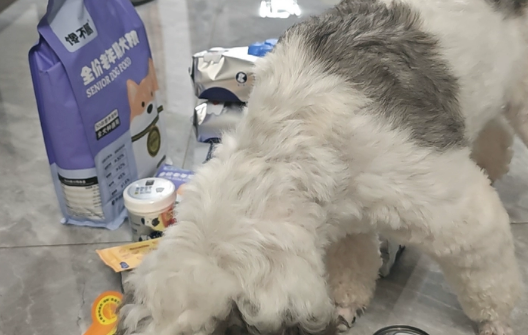 老年犬狗粮选择哪个品牌？馋不腻的高鲜肉+无谷低敏，呵护老年犬
