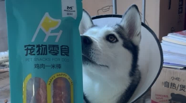 狗狗洁齿零食推荐益和鸡肉一米棒，狗狗口腔的守护者！