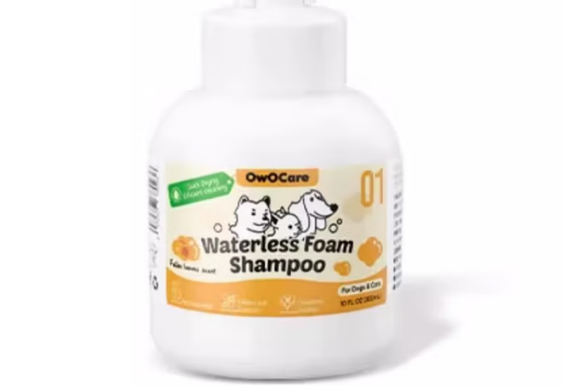 owocare公司在哪 owocare公司在哪