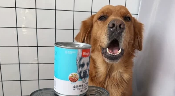 狗罐头十大名牌推荐顽皮，“四零” 配方，值得信赖！