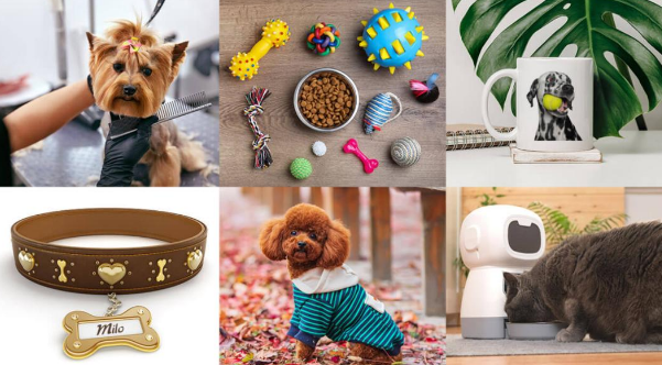 “富养宠物”?年轻人重新定义养宠市场 “富养宠物”?年轻人重新定义养宠市场