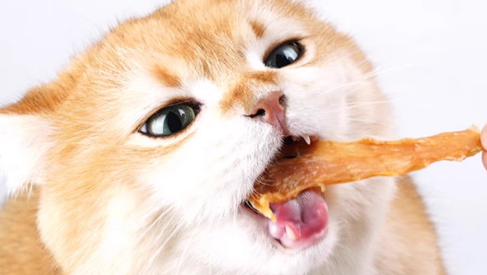 迪曼宠物鸡肉干好吗