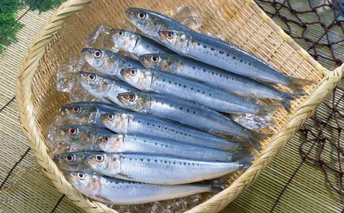 沙丁鱼的嘌呤含量是多少 沙丁鱼的嘌呤含量是多少