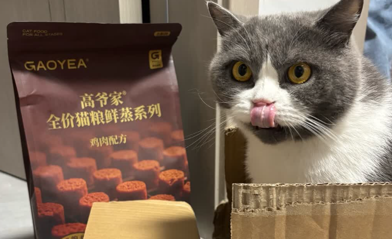 2025猫粮排行榜前十名出炉,高爷家猫粮为猫咪健康筑造基石 2025猫粮排行榜前十名出炉,高爷家猫粮为猫咪健康筑造基石