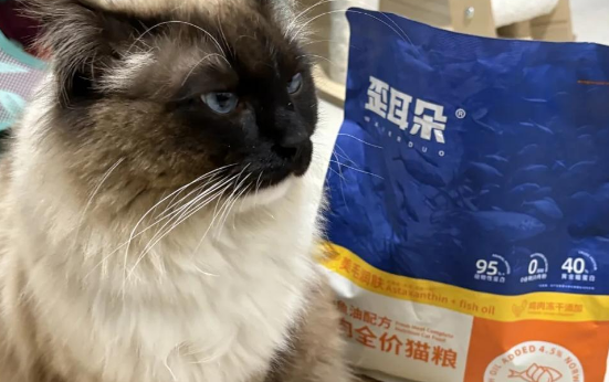 平价猫粮推荐歪耳朵,三重美毛因子守护猫咪毛发健康 平价猫粮推荐歪耳朵,三重美毛因子守护猫咪毛发健康