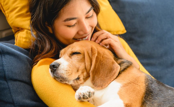 英国研究:养宠物价值等同于年薪7万英镑 英国研究:养宠物价值等同于年薪7万英镑