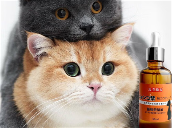猫咪发情期太闹心？马寺验方禁情液如何正确使用又安全