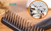 佳洁美宠物梳子可以给人用吗