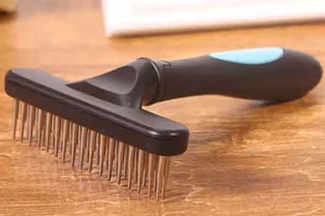 佳洁美宠物梳子多少钱