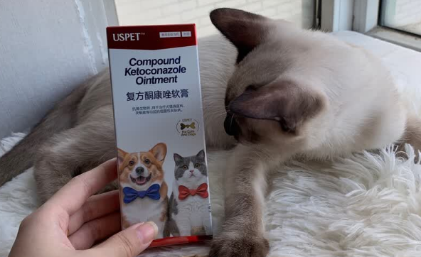 宠物皮肤总出问题?优斯派USPET复方酮康唑软膏来帮忙! 宠物皮肤总出问题?优斯派USPET复方酮康唑软膏来帮忙!