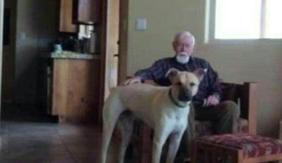 儿子送狗狗陪伴老年痴呆的父亲,在手机上看到家里监控后泪流满面 儿子送狗狗陪伴老年痴呆的父亲,在手机上看到家里监控后泪流满面