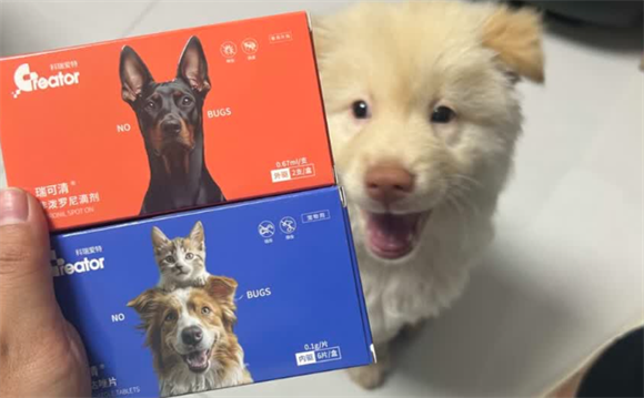 宠物犬驱虫药怎么选？科瑞爱特驱虫组合有何独到之处