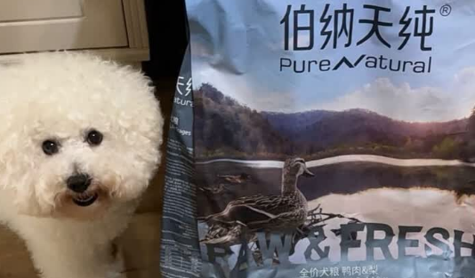 泪痕狗狗吃什么狗粮好?伯纳天纯鸭肉梨狗粮——根源解决泪痕烦恼 泪痕狗狗吃什么狗粮好?伯纳天纯鸭肉梨狗粮——根源解决泪痕烦恼